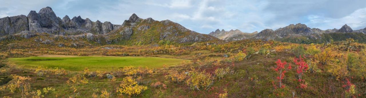 Wildlife Panorama Lofoten Bostad エクステリア 写真
