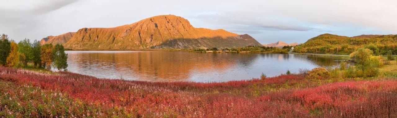 Wildlife Panorama Lofoten Bostad エクステリア 写真