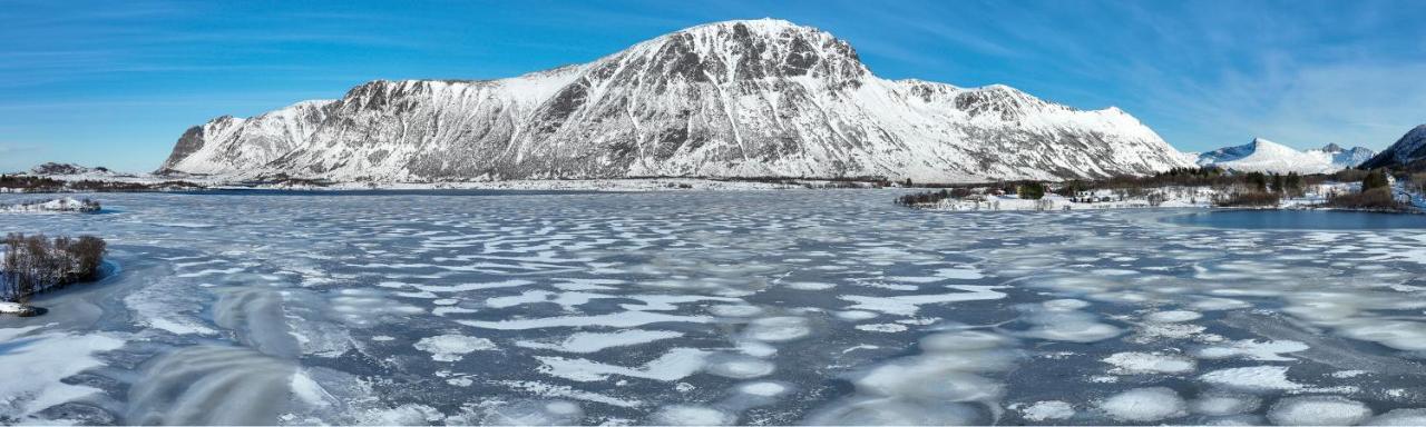 Wildlife Panorama Lofoten Bostad エクステリア 写真