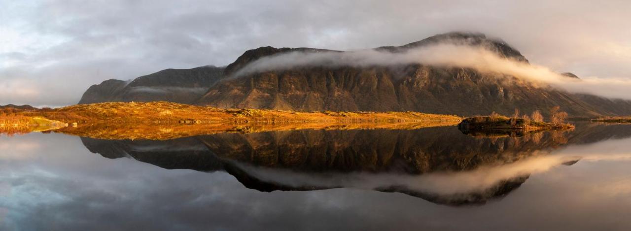 Wildlife Panorama Lofoten Bostad エクステリア 写真