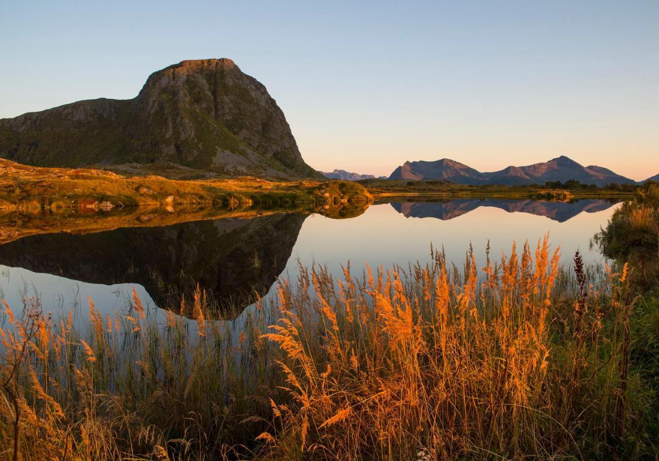 Wildlife Panorama Lofoten Bostad エクステリア 写真